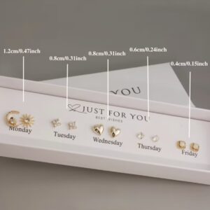 Auskarų rinkinys 5 darbo dienoms